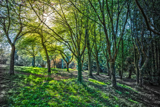Colours of Fishponds av Andreas Mørck Colours of Fishponds av Andreas Mørck