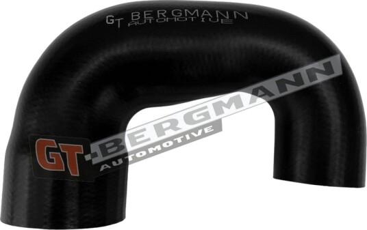 GT BERGMANN GT52 879 Ladeluftslange GT BERGMANN GT52 879 Ladeluftslange