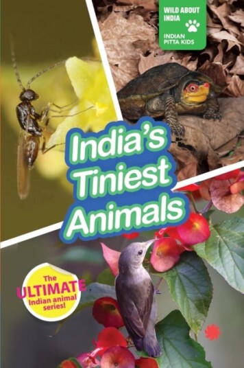 India's Tiniest Animals India's Tiniest Animals