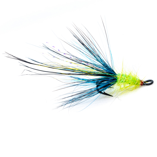 Midgar Salmon irons double Pot Belly Pigs langa fancy #6