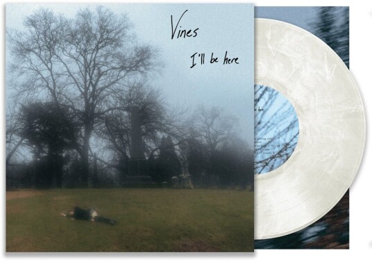 The Vines I'll Be Here LP/Vinyl
