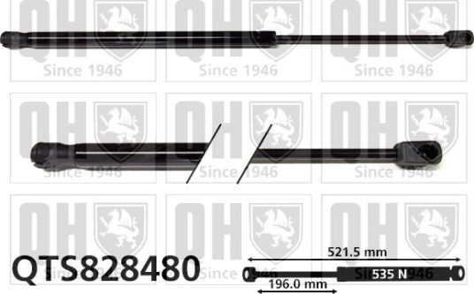 QUINTON HAZELL QTS828480 Baklukedemper