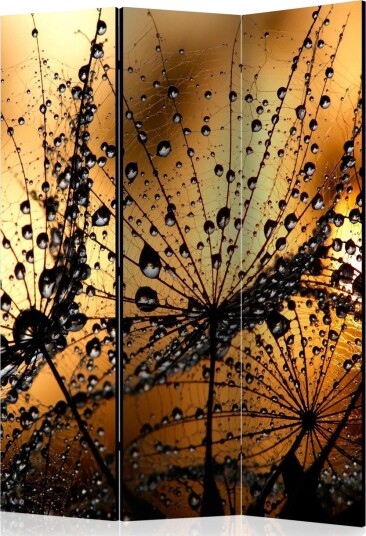 Romdeler Dandelions In The Rain 135x172 - Artgeist sp. z o. o.