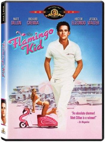 The Flamingo Kid DVD