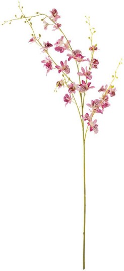 Bloomingville Stilk orkidé vokseblomst Pink Bloomingville Stilk orkidé vokseblomst Pink