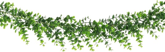 Chaks Girlander Eukalyptus 13235