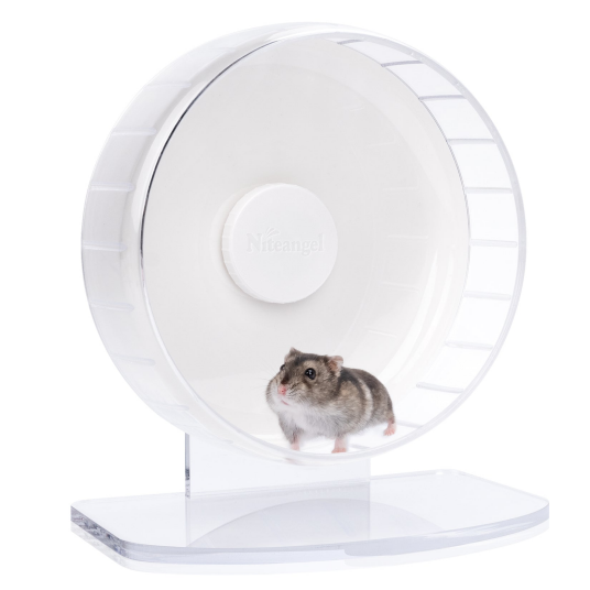 Niteangel Super Silent Hamsterhjul Transparent L Niteangel Super Silent Hamsterhjul Transparent L