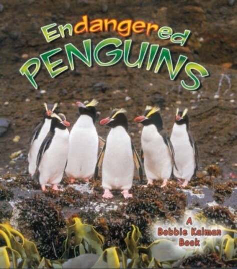 Endangered Penguins Endangered Penguins