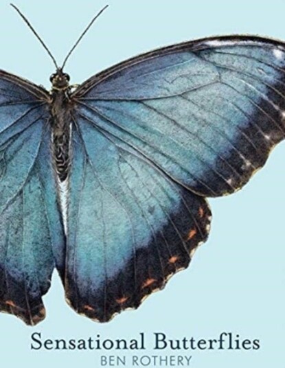 Sensational Butterflies Sensational Butterflies
