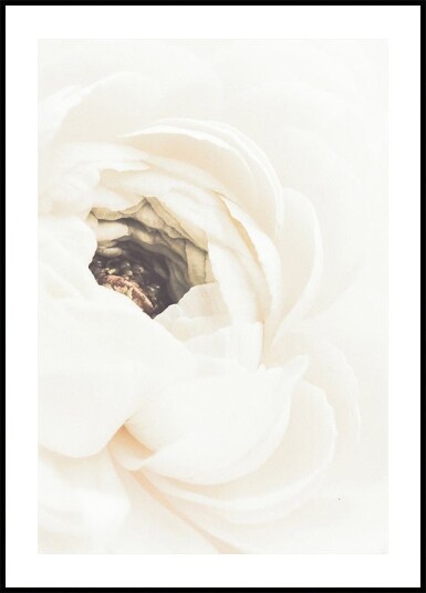 Pictufy Studio Iii White Flower No.1 Plakat Plakat / 30x40cm Pictufy Studio Iii White Flower No.1 Plakat Plakat / 30x40cm