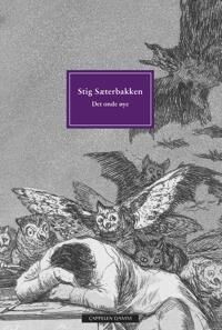 Det Onde Øye Av Stig Sæterbakken