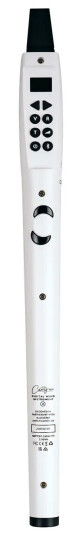 Blackstar Carry On DWI2-WT Digitalt blåseinstrument