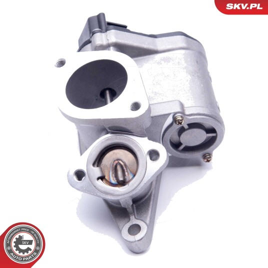 EGR ventil ESEN SKV 14SKV165