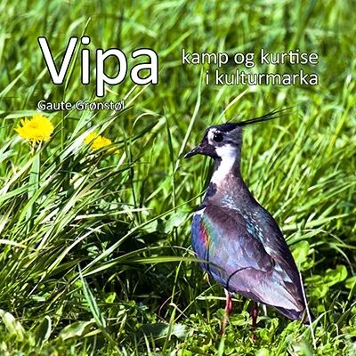 Vipa Av Gaute Grønstøl