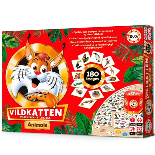 Villkatten Dyr Villkatten Dyr