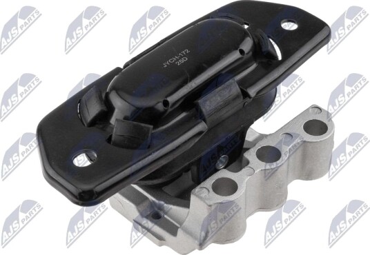 NTY ZPS CH 172 Motorfeste