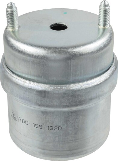 LEMFÖRDER 25369 01 Motorfeste