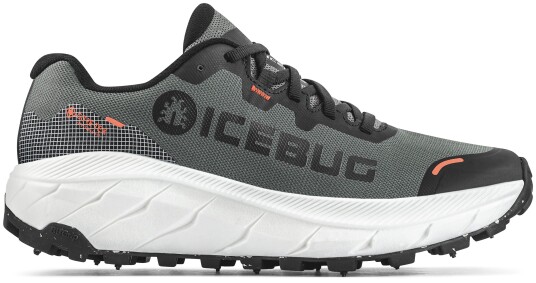 Icebug Women's Arcus 2 BUGrip GORE TEX Grey 37.5