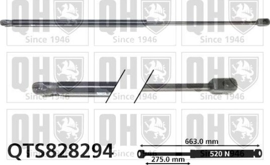 QUINTON HAZELL QTS828294 Baklukedemper