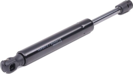 RIDEX 219G0119 Baklukedemper