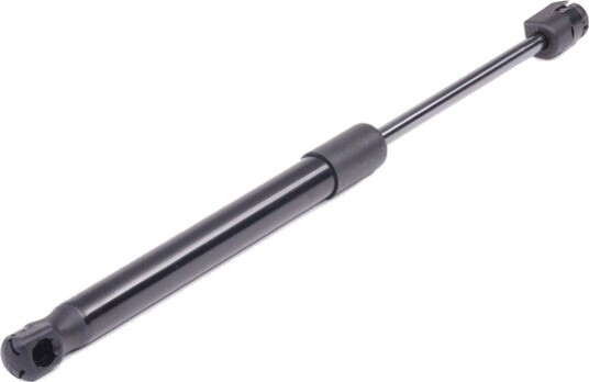 RIDEX 219G0076 Baklukedemper