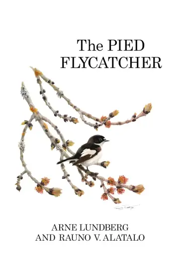 The Pied Flycatcher The Pied Flycatcher