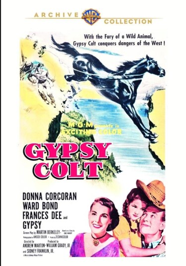 Gypsy Colt (1954) DVD Gypsy Colt (1954) DVD
