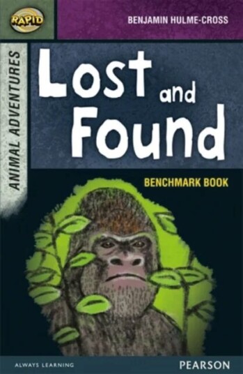 Rapid Stage 7 Assessment Book: Lost And Found Av Dee Reid, Benjamin Hulme-Cross