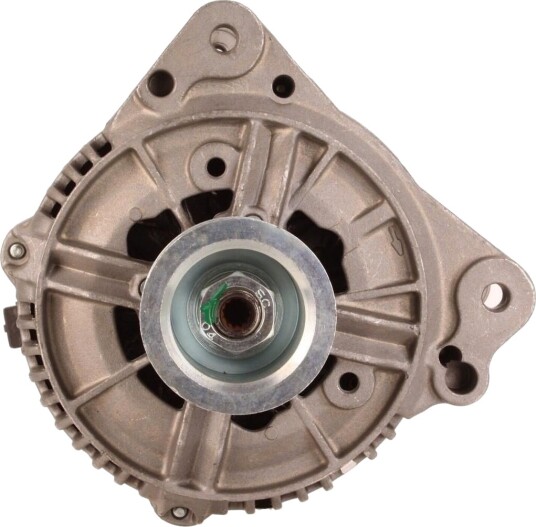 Dynamo WALKER WAL01846