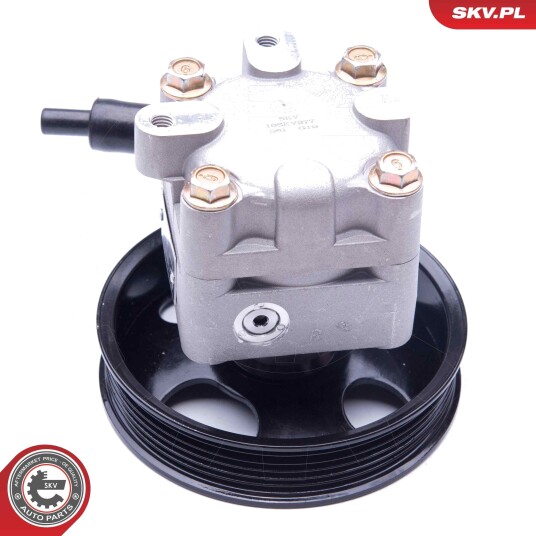Servopumpe ESEN SKV 10SKV277