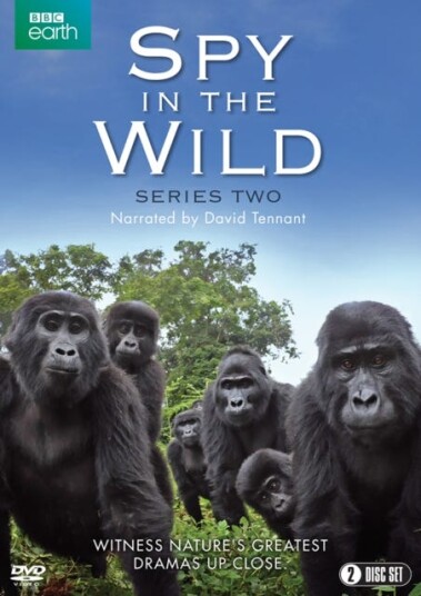Spy In The Wild Sesong 2 DVD Spy In The Wild Sesong 2 DVD