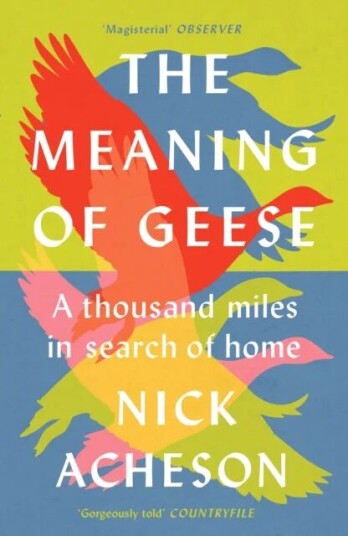 The Meaning Of Geese Av Nick Acheson