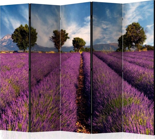 Romdeler Lavender Field in Provence, France II - Artgeist sp. z o. o.