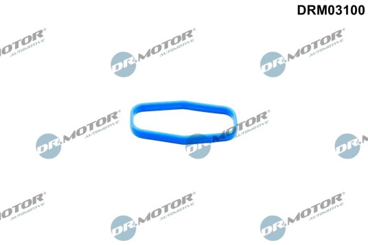 DR.MOTOR AUTOMOTIVE DRM03100 Tetning, oljepumpe