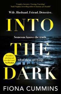 Into The Dark Av Fiona Cummins