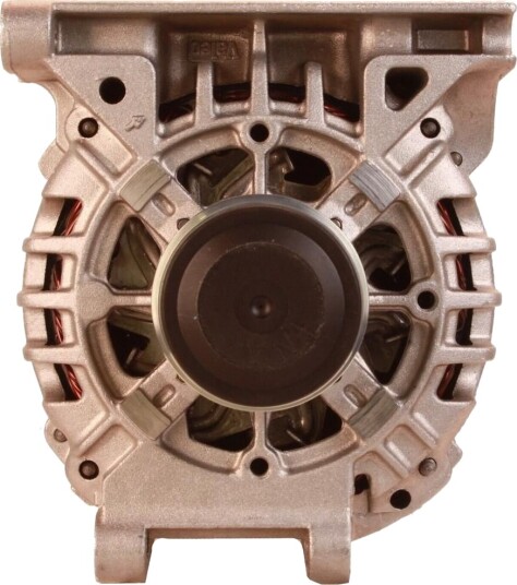 Dynamo WALKER WAL00689