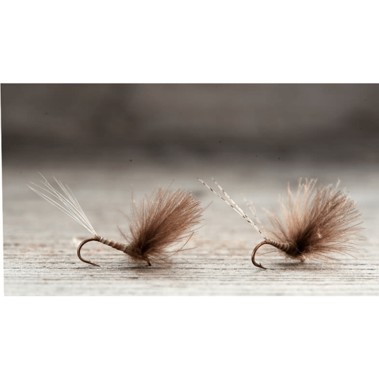 Midgar døgnfluer CDC Comparaduns Red Quills-12
