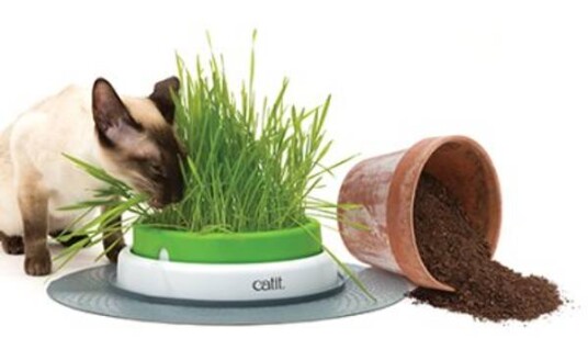 Senses 2.0 Gressplanter Grønn 24.5 cm Senses 2.0 Gressplanter Grønn 24.5 cm