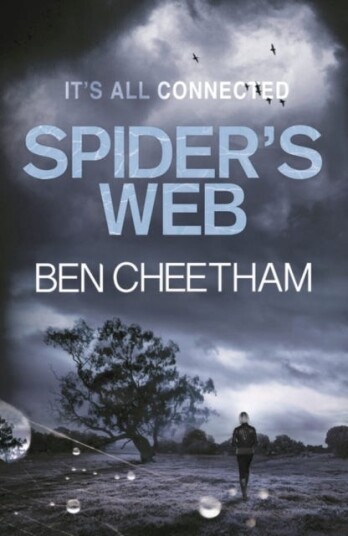 Spider'S Web Av Ben Cheetham