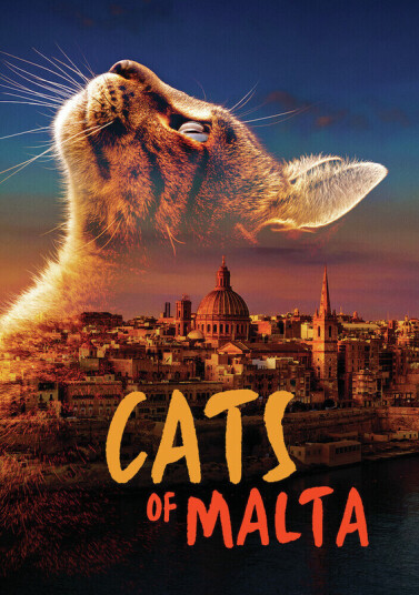 Cats Of Malta DVD