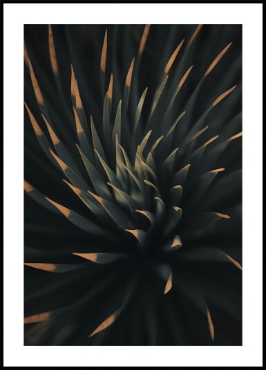 Spiral Plant Texture Plakat Plakat / 100x150cm