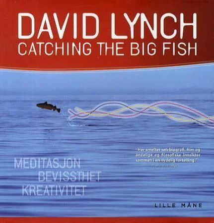 Catching The Big Fish Av David Lynch