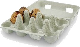 America Eggekartong 12 egg vaktel 50 stk/pk America Eggekartong 12 egg vaktel 50 stk/pk