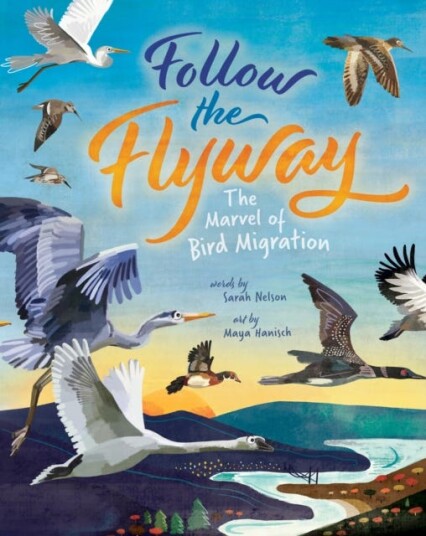 Follow The Flyway Av Sarah Nelson