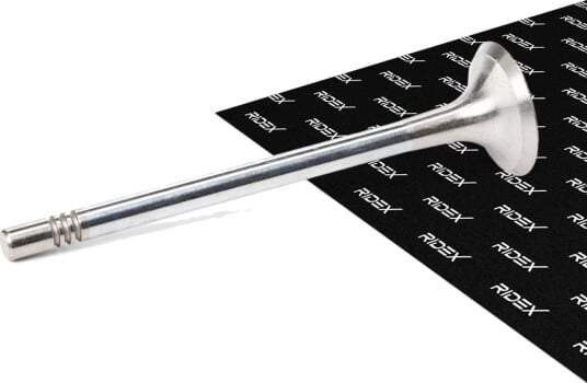 RIDEX 1270O0013 Utløpsventil