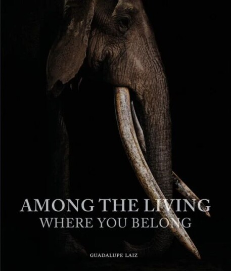Among the Living av Guadalupe Laiz
