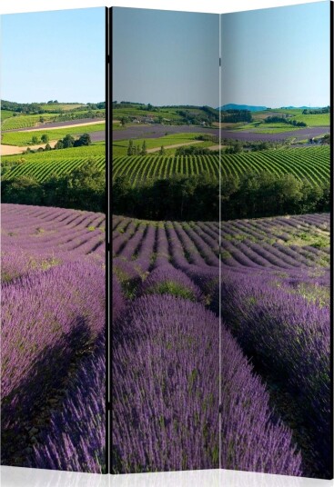 Kadira Rumsavdelare 135x172 cm VALUE_MISSING_1 -