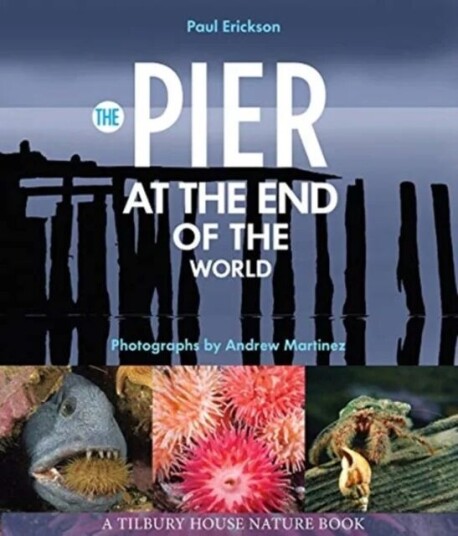 The Pier At The End Of The World Av Paul Erickson
