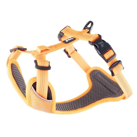 Feel Active Reflective Hundesele Oransje (M)