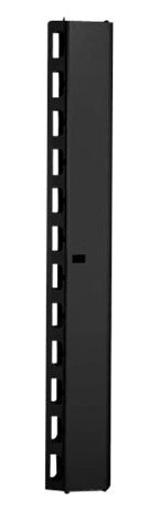 Digitus Professional Dn-19 Org-42U - Rack-Kabel Styrepanel - Sort Ral 9005 - 42U - 19"